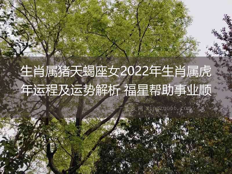 生肖屬豬天蝎座女2022年生肖屬虎年運(yùn)程及運(yùn)勢解析 福星幫助事業(yè)順利