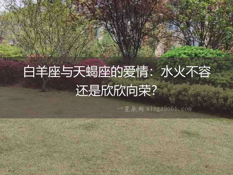 白羊座與天蝎座的愛情：水火不容還是欣欣向榮？