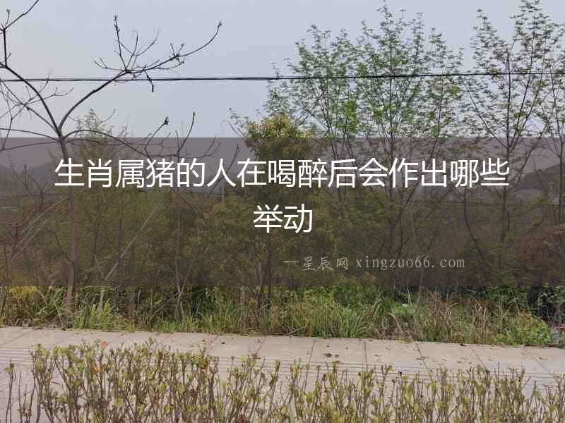 生肖屬豬的人在喝醉后會作出哪些舉動
