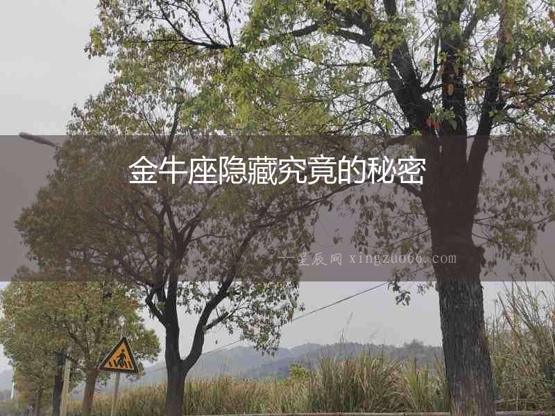金牛座隱藏究竟的秘密