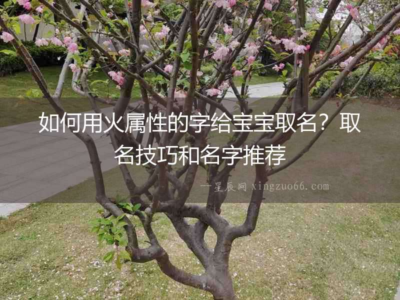 如何用火屬性的字給寶寶取名？取名技巧和名字推薦