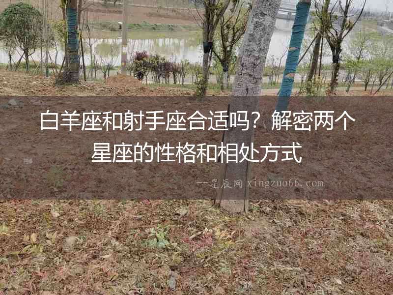白羊座和射手座合適嗎？解密兩個星座的性格和相處方式