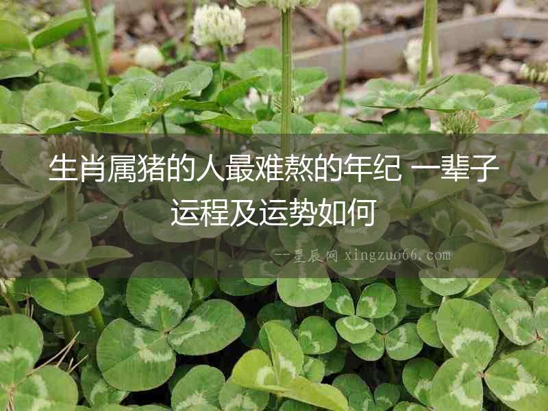 生肖屬豬的人最難熬的年紀 一輩子運程及運勢如何