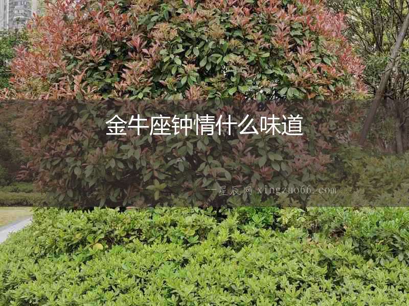 金牛座鐘情什么味道
