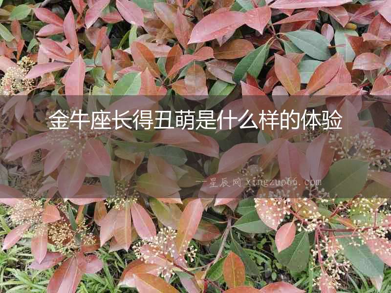 金牛座長得丑萌是什么樣的體驗
