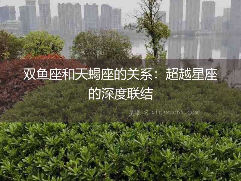 雙魚座和天蝎座的關系：超越星座的深度聯結