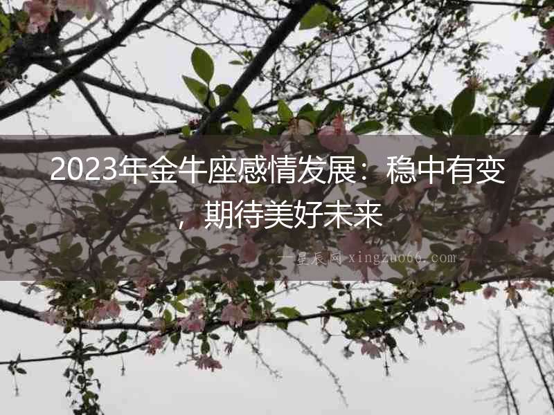 2023年金牛座感情發展：穩中有變，期待美好未來