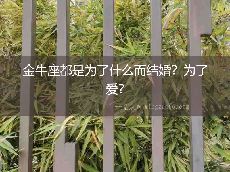 金牛座都是為了什么而結婚？為了愛？