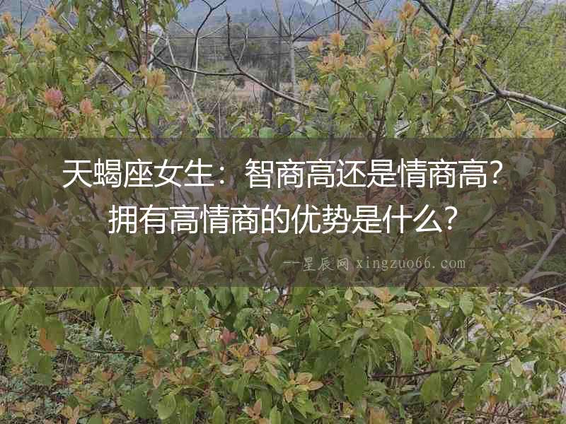 天蝎座女生：智商高還是情商高？擁有高情商的優(yōu)勢是什么？