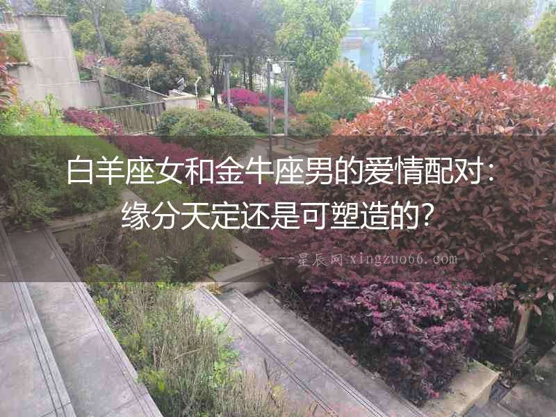白羊座女和金牛座男的愛情配對：緣分天定還是可塑造的？