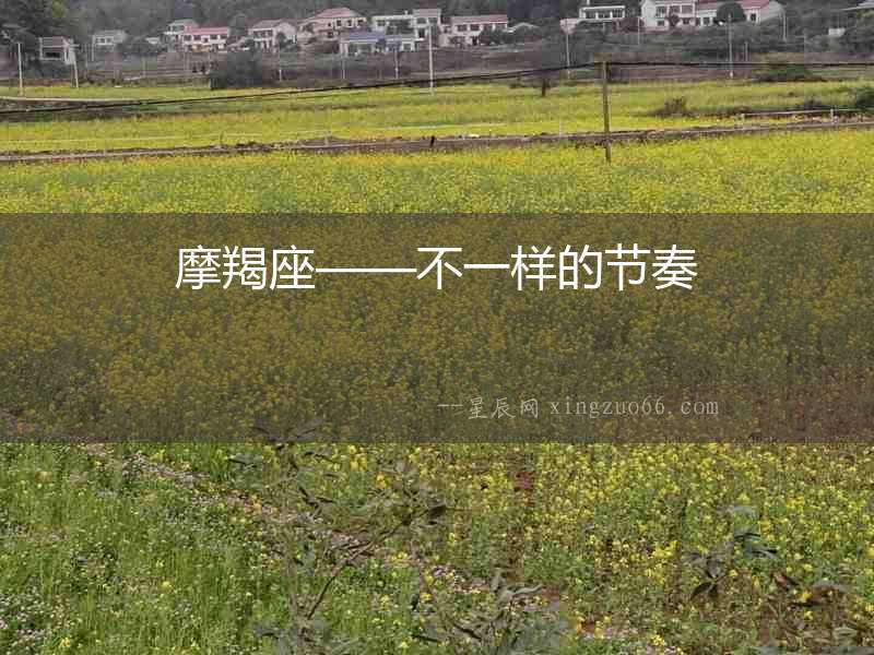 摩羯座——不一樣的節奏