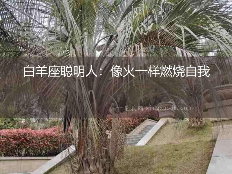 白羊座聰明人：像火一樣燃燒自我