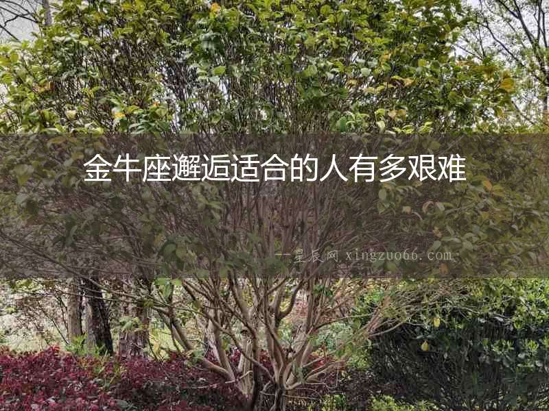 金牛座邂逅適合的人有多艱難