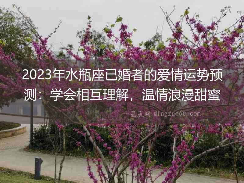 2023年水瓶座已婚者的愛情運勢預測：學會相互理解，溫情浪漫甜蜜連連