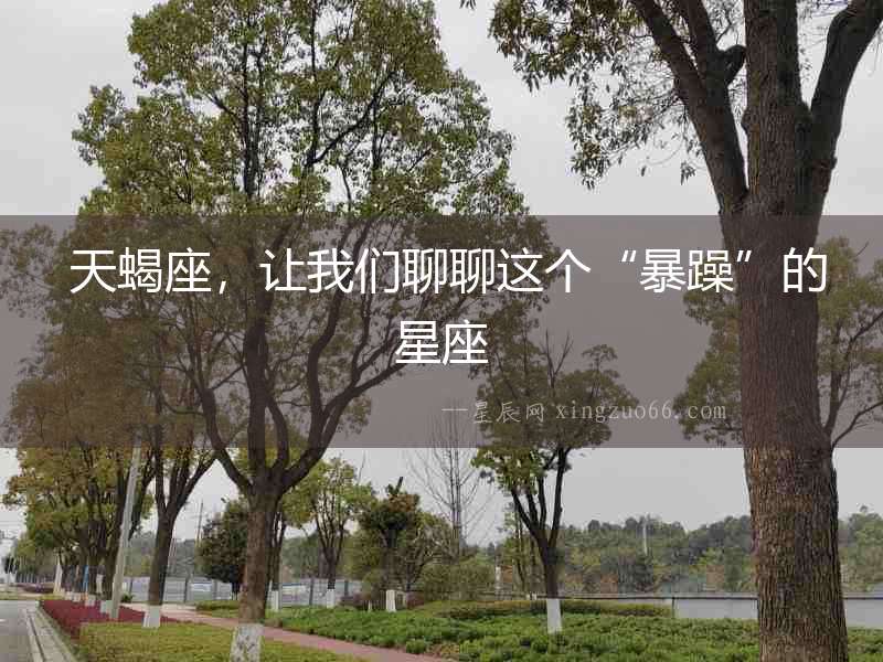  天蝎座，讓我們聊聊這個“暴躁”的星座