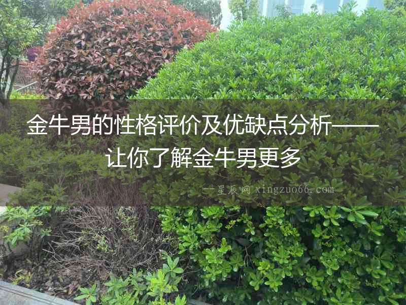 金牛男的性格評價及優缺點分析——讓你了解金牛男更多