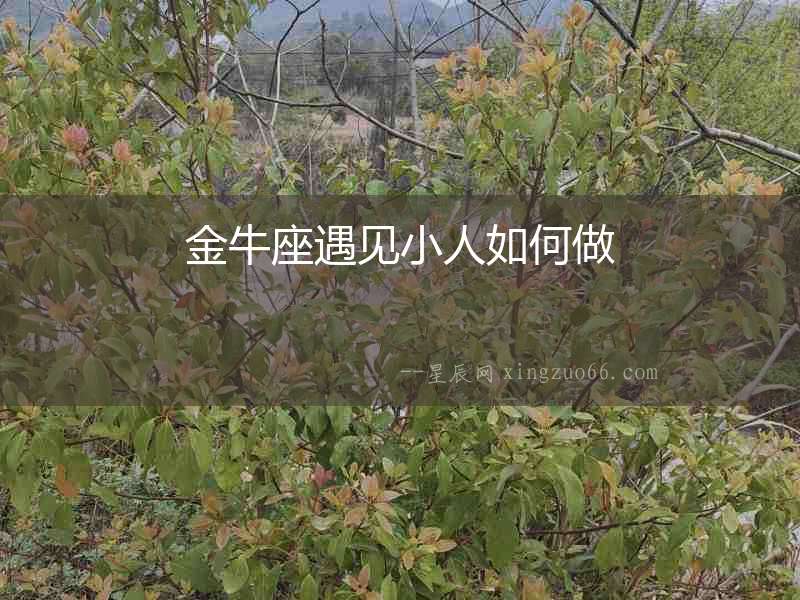 金牛座遇見小人如何做