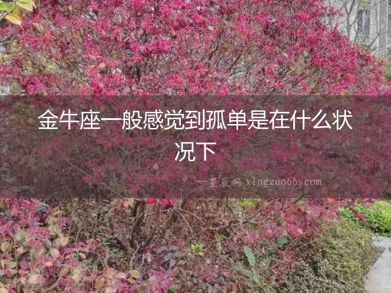 金牛座一般感覺到孤單是在什么狀況下