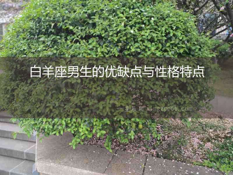 白羊座男生的優缺點與性格特點