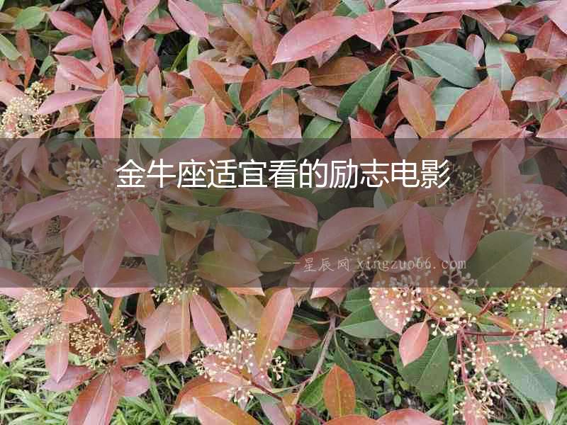 金牛座適宜看的勵(lì)志電影