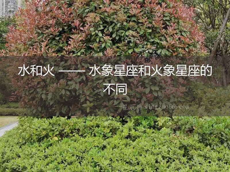 水和火 —— 水象星座和火象星座的不同