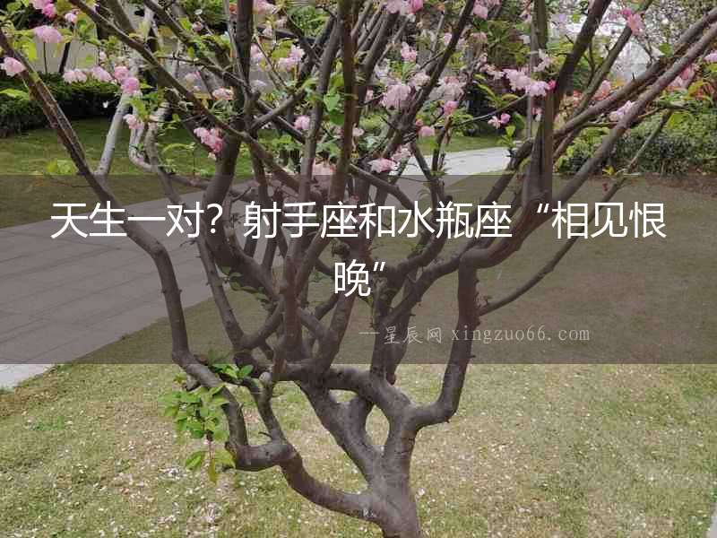 天生一對？射手座和水瓶座“相見恨晚”