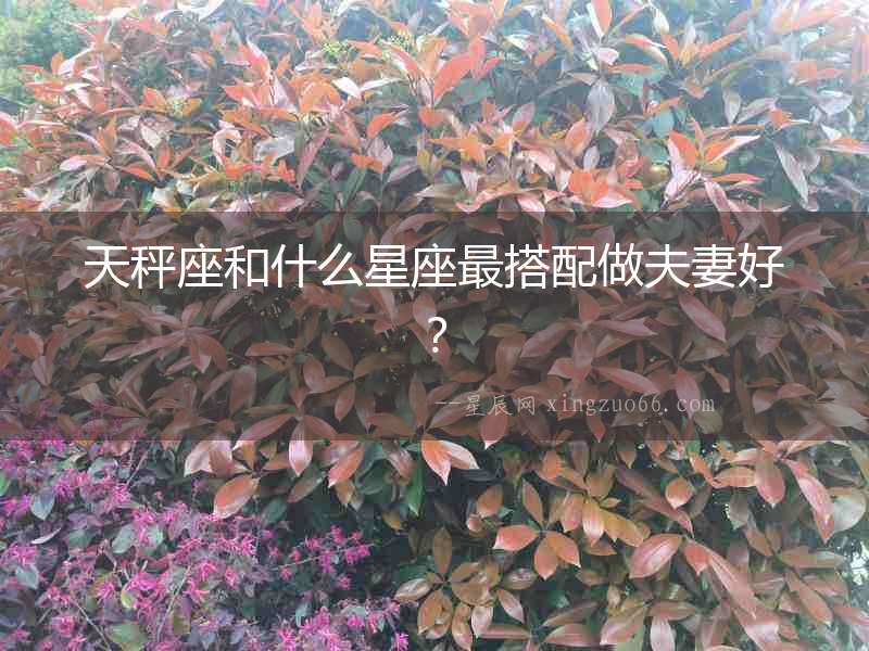 天秤座和什么星座最搭配做夫妻好？