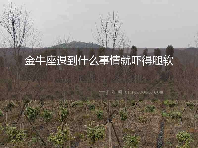 金牛座遇到什么事情就嚇得腿軟