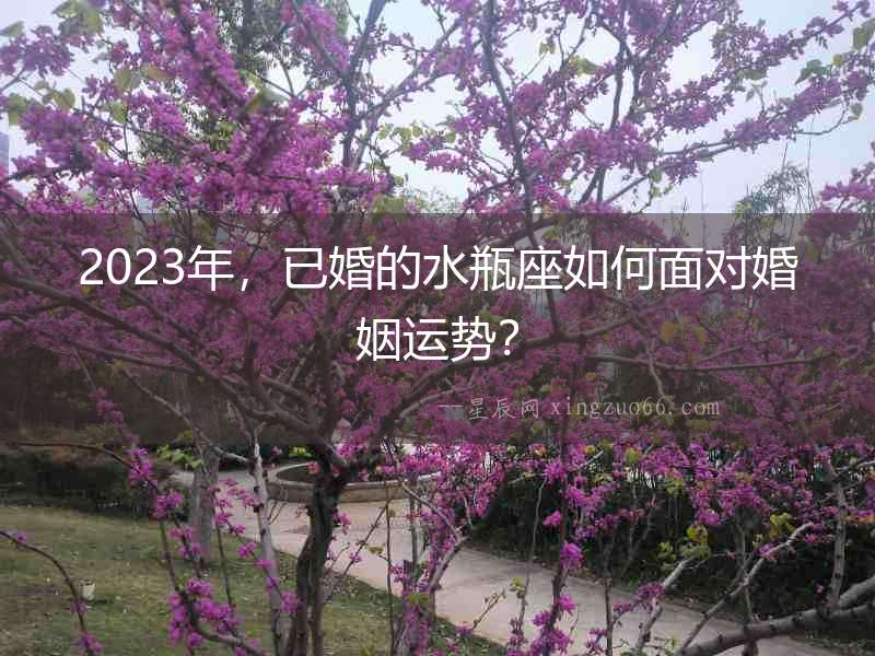 2023年，已婚的水瓶座如何面對婚姻運勢？