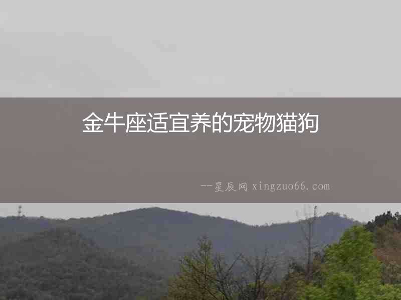 金牛座適宜養(yǎng)的寵物貓狗