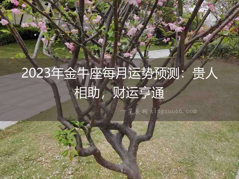 2023年金牛座每月運勢預測：貴人相助，財運亨通