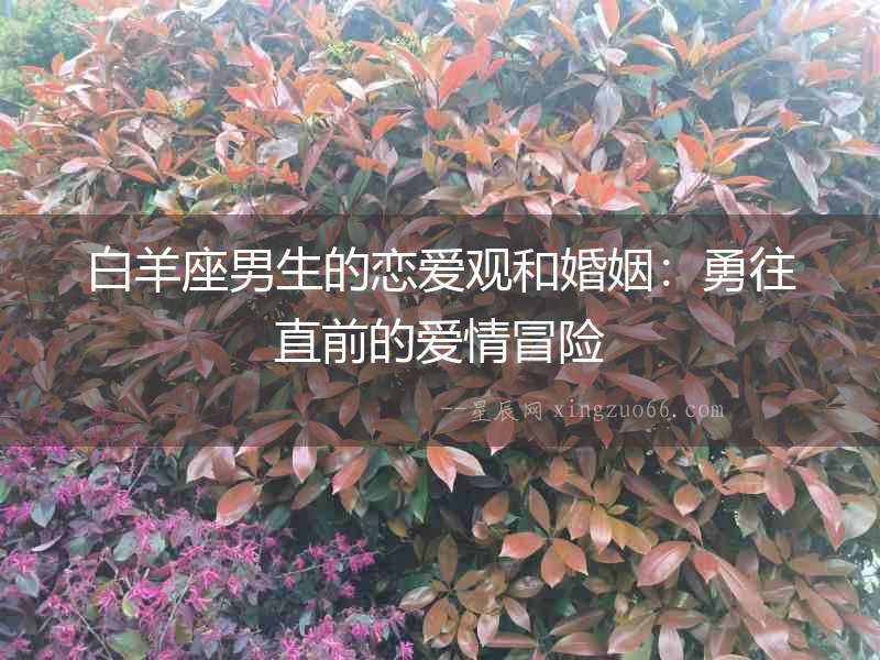 白羊座男生的戀愛觀和婚姻：勇往直前的愛情冒險