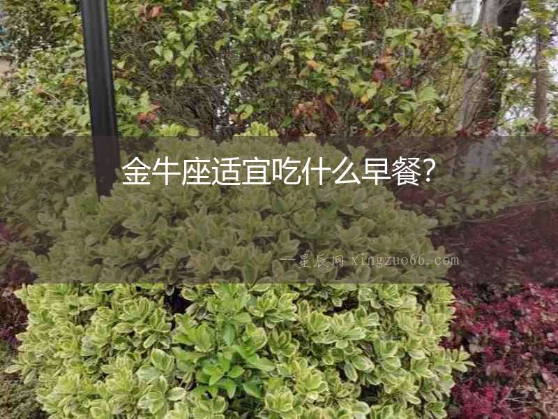 金牛座適宜吃什么早餐？