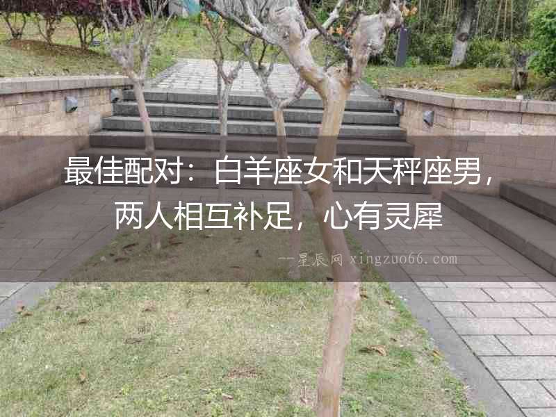 最佳配對：白羊座女和天秤座男，兩人相互補足，心有靈犀
