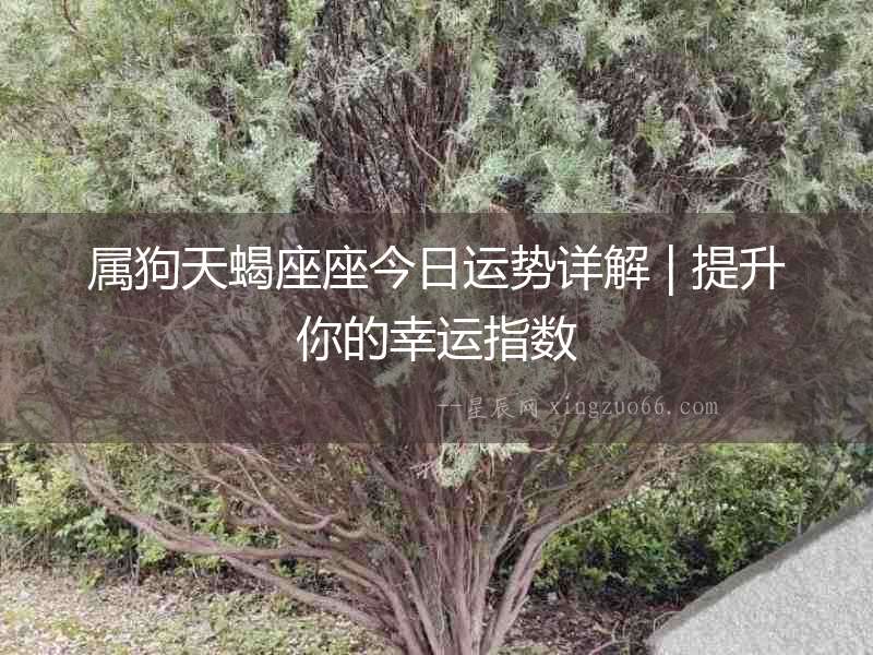屬狗天蝎座座今日運勢詳解 | 提升你的幸運指數