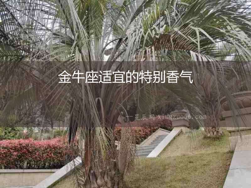 金牛座適宜的特別香氣