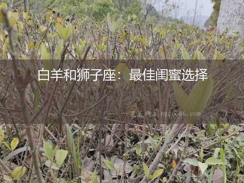 白羊和獅子座：最佳閨蜜選擇