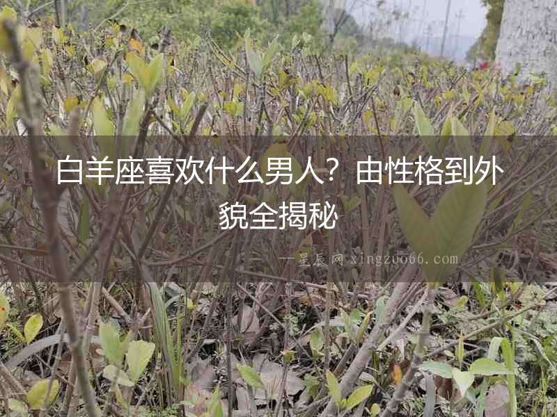 白羊座喜歡什么男人？由性格到外貌全揭秘