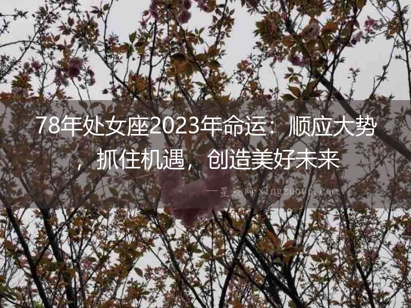 78年處女座2023年命運：順應大勢，抓住機遇，創造美好未來