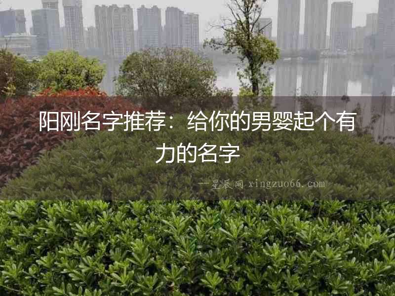 陽剛名字推薦：給你的男嬰起個有力的名字