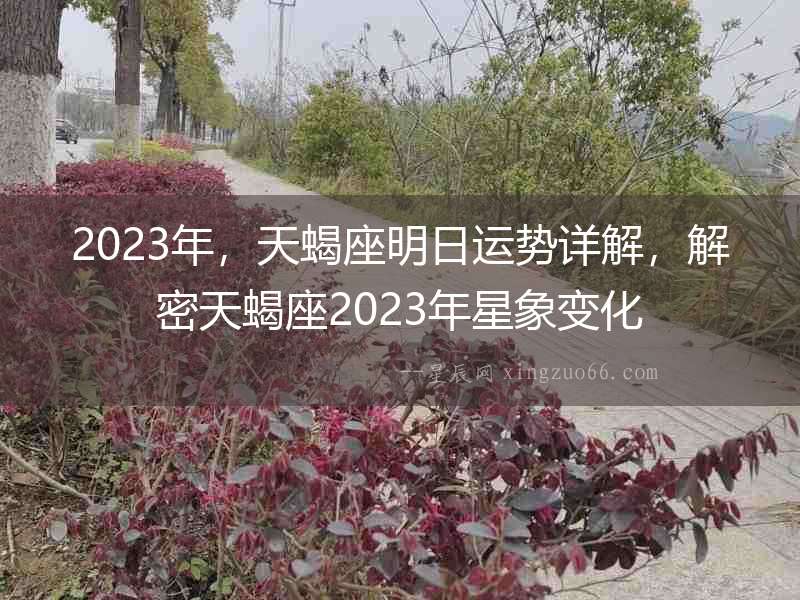 2023年，天蝎座明日運勢詳解，解密天蝎座2023年星象變化