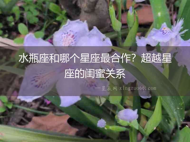 水瓶座和哪個星座最合作？超越星座的閨蜜關系