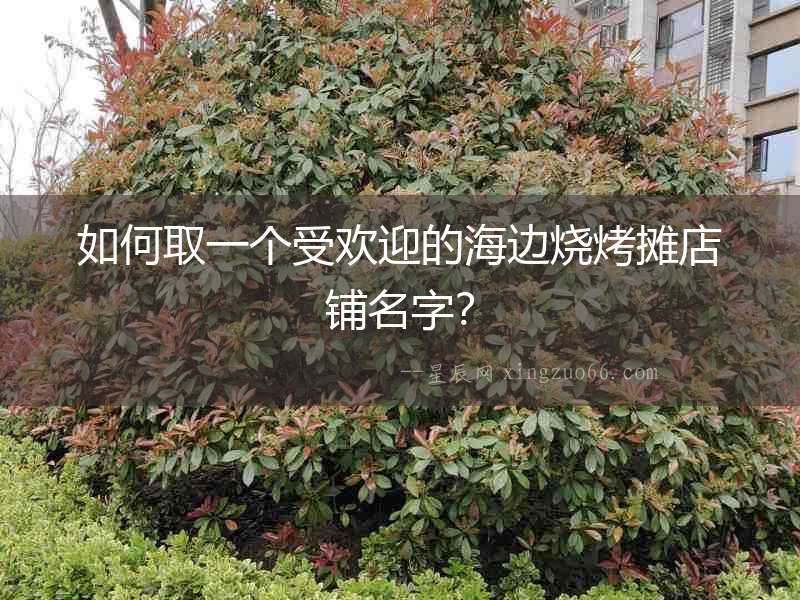 如何取一個(gè)受歡迎的海邊燒烤攤店鋪名字？