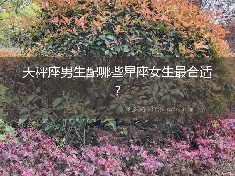 天秤座男生配哪些星座女生最合適?