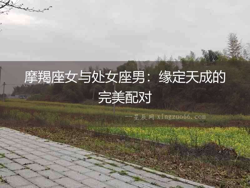 摩羯座女與處女座男：緣定天成的完美配對