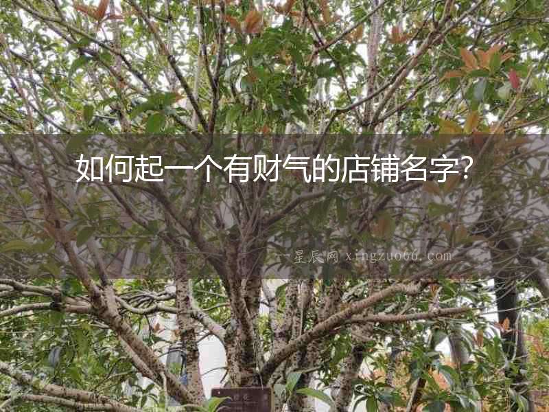 如何起一個有財氣的店鋪名字？