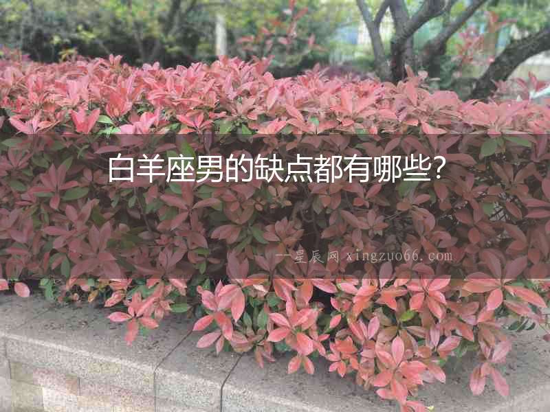 白羊座男的缺點都有哪些？