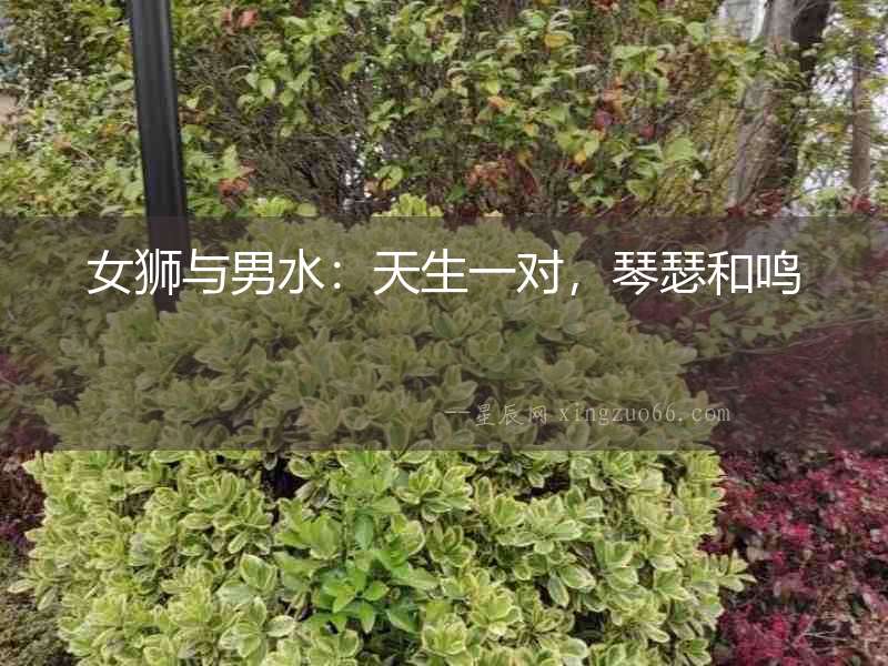 女獅與男水：天生一對，琴瑟和鳴