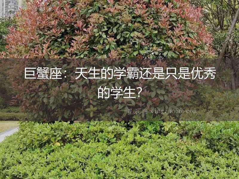 巨蟹座：天生的學(xué)霸還是只是優(yōu)秀的學(xué)生？