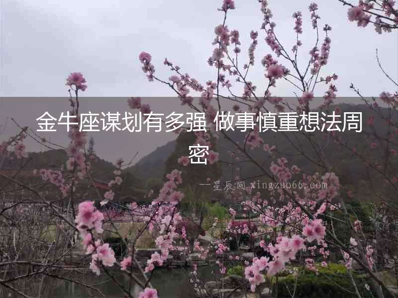 金牛座謀劃有多強 做事慎重想法周密